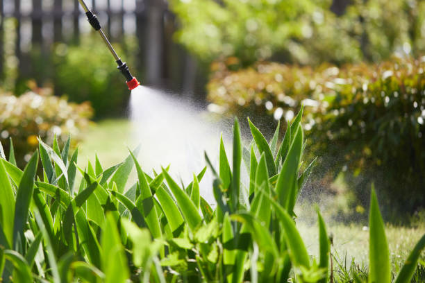 Tamper-Resistant Bait Stations for Rodents in Dandridge