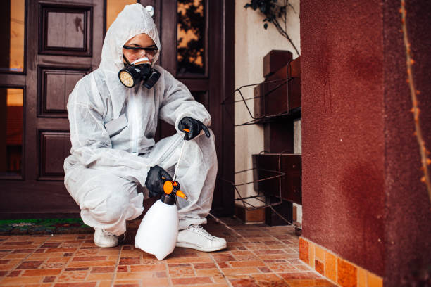 Attic and Crawl Space Rodent Treatment in Dandridge