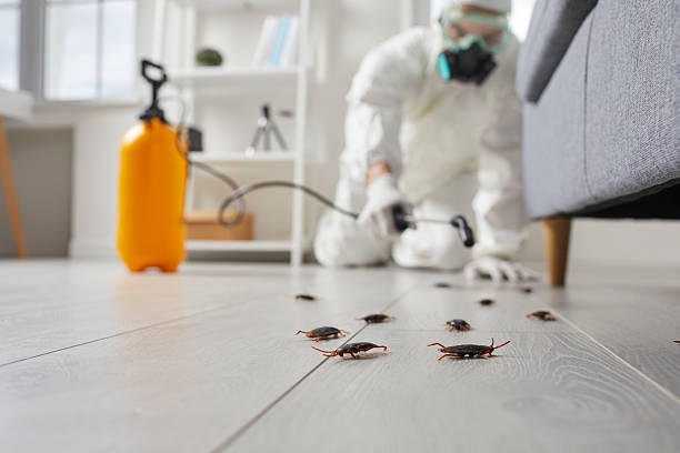 Commercial Rodent Management in Dandridge